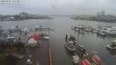 ./images/victoria/wharf/20200204/wharf20200204_142451.jpg