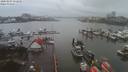 ./images/victoria/wharf/20200204/wharf20200204_151952.jpg
