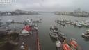 ./images/victoria/wharf/20200207/wharf20200207_122950.jpg