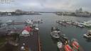 ./images/victoria/wharf/20200207/wharf20200207_130952.jpg