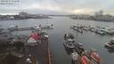 ./images/victoria/wharf/20200207/wharf20200207_131957.jpg