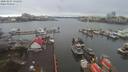 ./images/victoria/wharf/20200207/wharf20200207_134955.jpg