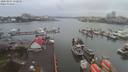 ./images/victoria/wharf/20200207/wharf20200207_145955.jpg