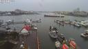 ./images/victoria/wharf/20200207/wharf20200207_160459.jpg