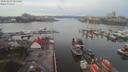 ./images/victoria/wharf/20200209/wharf20200209_084950.jpg