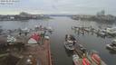 ./images/victoria/wharf/20200210/wharf20200210_100954.jpg