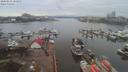 ./images/victoria/wharf/20200210/wharf20200210_101457.jpg