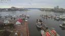 ./images/victoria/wharf/20200210/wharf20200210_105449.jpg