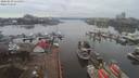 ./images/victoria/wharf/20200210/wharf20200210_114959.jpg