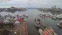 ./images/victoria/wharf/20200210/wharf20200210_122449.jpg