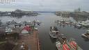 ./images/victoria/wharf/20200210/wharf20200210_122952.jpg