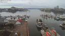./images/victoria/wharf/20200210/wharf20200210_124952.jpg