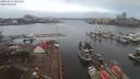 ./images/victoria/wharf/20200211/wharf20200211_081954.jpg