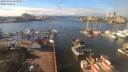 ./images/victoria/wharf/20200211/wharf20200211_132950.jpg