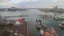 ./images/victoria/wharf/20200212/wharf20200212_075452.jpg