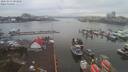 ./images/victoria/wharf/20200212/wharf20200212_084452.jpg