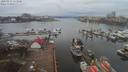 ./images/victoria/wharf/20200212/wharf20200212_112955.jpg