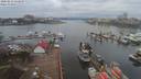 ./images/victoria/wharf/20200212/wharf20200212_114454.jpg