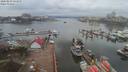 ./images/victoria/wharf/20200212/wharf20200212_122950.jpg