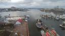 ./images/victoria/wharf/20200212/wharf20200212_134449.jpg