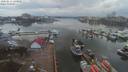 ./images/victoria/wharf/20200212/wharf20200212_135455.jpg