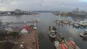 ./images/victoria/wharf/20200212/wharf20200212_152950.jpg