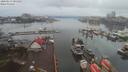 ./images/victoria/wharf/20200213/wharf20200213_082953.jpg