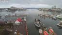 ./images/victoria/wharf/20200213/wharf20200213_091952.jpg