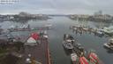 ./images/victoria/wharf/20200213/wharf20200213_092454.jpg
