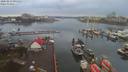 ./images/victoria/wharf/20200213/wharf20200213_093952.jpg