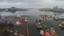 ./images/victoria/wharf/20200213/wharf20200213_100949.jpg