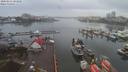 ./images/victoria/wharf/20200213/wharf20200213_101451.jpg