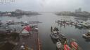 ./images/victoria/wharf/20200213/wharf20200213_102457.jpg
