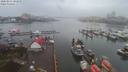 ./images/victoria/wharf/20200213/wharf20200213_102950.jpg