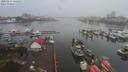 ./images/victoria/wharf/20200213/wharf20200213_110953.jpg