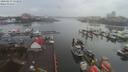 ./images/victoria/wharf/20200213/wharf20200213_114453.jpg