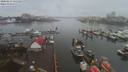 ./images/victoria/wharf/20200213/wharf20200213_124950.jpg