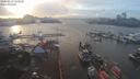 ./images/victoria/wharf/20200213/wharf20200213_162955.jpg