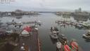 ./images/victoria/wharf/20200215/wharf20200215_084949.jpg