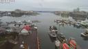 ./images/victoria/wharf/20200215/wharf20200215_085452.jpg