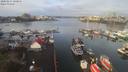 ./images/victoria/wharf/20200215/wharf20200215_100455.jpg