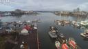 ./images/victoria/wharf/20200215/wharf20200215_104952.jpg