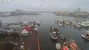 ./images/victoria/wharf/20200215/wharf20200215_131456.jpg