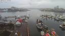 ./images/victoria/wharf/20200215/wharf20200215_134454.jpg