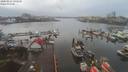 ./images/victoria/wharf/20200215/wharf20200215_135450.jpg
