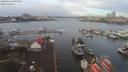 ./images/victoria/wharf/20200216/wharf20200216_092951.jpg