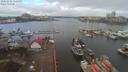 ./images/victoria/wharf/20200216/wharf20200216_110950.jpg