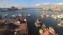 ./images/victoria/wharf/20200218/wharf20200218_111456.jpg