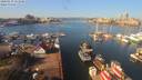 ./images/victoria/wharf/20200219/wharf20200219_110950.jpg