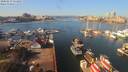 ./images/victoria/wharf/20200219/wharf20200219_112951.jpg